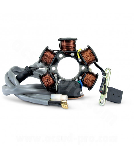 STATOR ALLUMAGE SCOOTER ADAPT PIAGGIO 50 TYPHOON NRG NTT SFERA LIBERTY ZIP RST VESPA ET2 1998-2005 GILERA 50 STALKER RUNNER