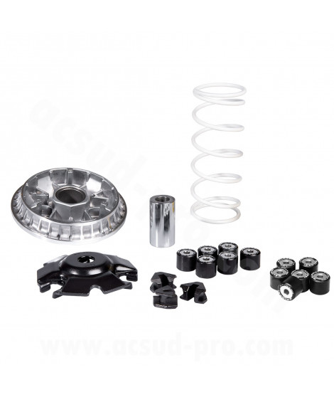 VARIATEUR MAXISCOOTER MALOSSI MULTIVAR 2000 SPORT ADAPT HONDA 125 PCX 2021 HONDA 125 FORZA 2021 HONDA 125 SH I 2020  (5118776)