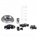 VARIATEUR MAXISCOOTER MALOSSI MULTIVAR 2000 SPORT ADAPT HONDA 125 PCX 2021 HONDA 125 FORZA 2021 HONDA 125 SH I 2020  (5118776)