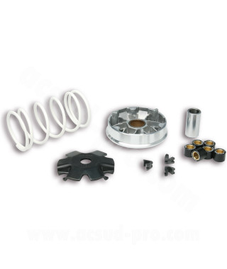 VARIATEUR SCOOT MALOSSI MULTIVAR ADAPT SCOOT CHINOIS 139QMB GY6 PEUGEOT 50 KISBEE V-CLIC 4T SYM 50 ORBIT 4T KYMCO 50 AGILITY 4T
