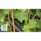 Taille-haies sans fil Advanced Hedge Cut 36V-65-28