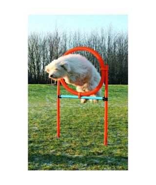 TRIXIE Cerceau d'agilité pour chiens 115 x 3cm plastique