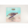 Pese-personne électronique - LITTLE BALANCE - 8653 - USB - 180 kg / 100 g - Motif tortue verte