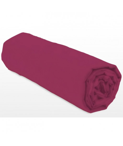 Drap-housse - LOVELY HOME - LH71608 - 160x200+35 cm - Fuchsia