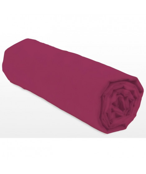 Drap-housse - LOVELY HOME - LH71607 - 180x200+35 cm - Fuchsia