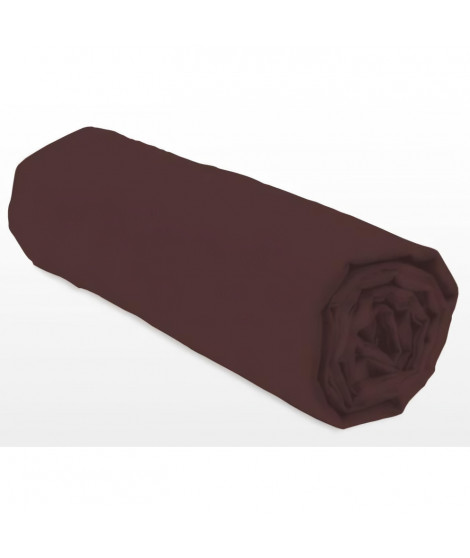 Drap-housse - LOVELY HOME - LH71601 - 90x190+25 cm - Marron