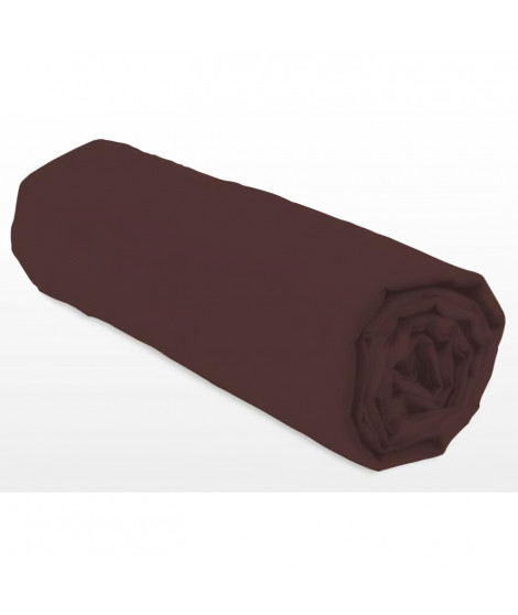 Drap-housse - LOVELY HOME - LH71592 - 160x200+35 cm - Marron
