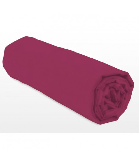 Drap-housse - LOVELY HOME - LH71617 - 90x190+25 cm - Fuchsia