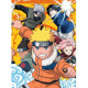 Nathan - Puzzle 250 pieces - Naruto a l'académie des ninjas