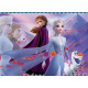 LA REINE DES NEIGES 2 Puzzle 45 pieces - L'amour de deux soeurs - Nathan - Puzzle Enfant + Poster - Des 5 ans