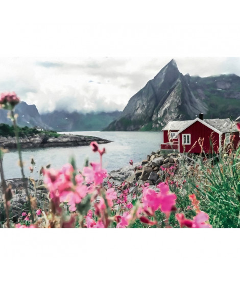 Ravensburger-Puzzle 1000p-Reine, Lofoten, Norvege (Highlights)-Adultes & enfants-Des 14 ans-Puzzle de qualité supérieure-1200…