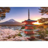 Ravensburger-Puzzle 1000 pieces-Cerisiers en fleurs du Mont Fuji-Adultes et enfants-Des 14 ans-Puzzle de qualité supérieure-1…