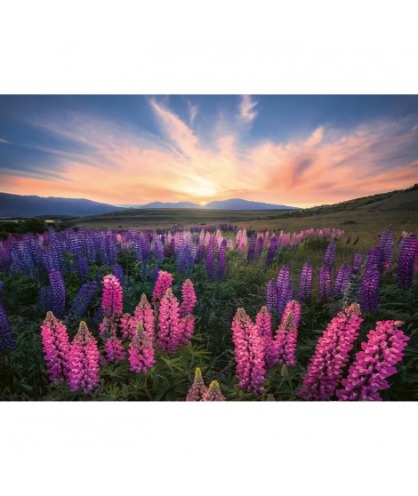 Ravensburger-Puzzle 500 pieces-Les lupins (Nature edition)-Des 12 ans - Puzzle de qualité supérieure-12000688