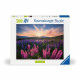 Ravensburger-Puzzle 500 pieces-Les lupins (Nature edition)-Des 12 ans - Puzzle de qualité supérieure-12000688