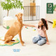 Badabulle Barriere de sécurité Enfant Safe&Protect XL - Extensible (60 a 106.5 cm) - Ouvertures Extra Large - Fixation Vis, Noir