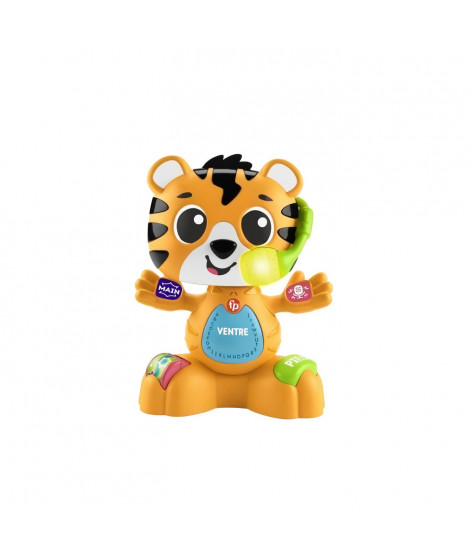 Fisher-Price-Link Squad Tigre Parties du Corps-Jouet d'éveil musical HYL00