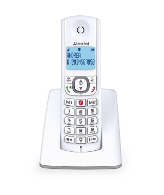 Alcatel F530 Solo Téléphone Sans Fil Sans Répondeur Gris