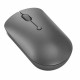 Souris sans fil compacte USB-C Lenovo 540  Gris