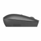 Souris sans fil compacte USB-C Lenovo 540  Gris