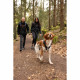 Harnais pour chien - SYMBIOZ - XS - Noir / Bleu