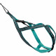 Harnais de traction pour chien - OLYMPIA - XXS - Type X-back - Bleu