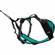 Harnais pour chien - SYMBIOZ - S - Noir / Bleu