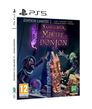 Le Maître du Donjon de Naheulbeuk - Jeu PS5 - Edition Limitée