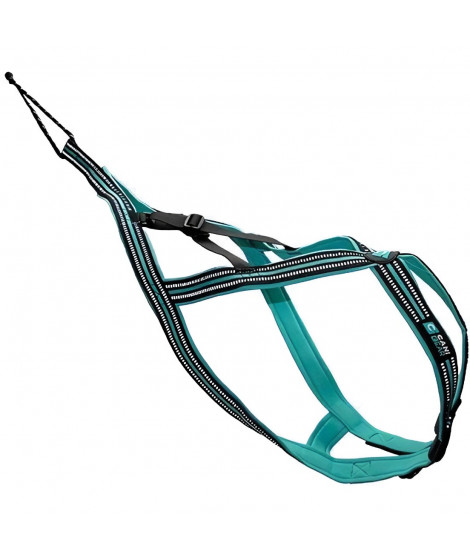 Harnais de traction pour chien - OLYMPIA - XL - Type X-back - Bleu