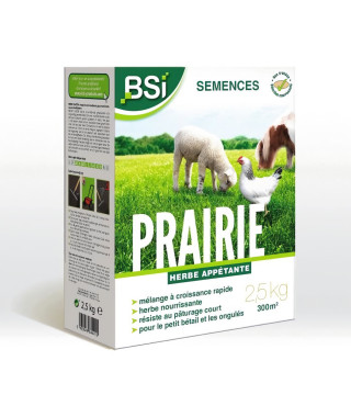 BSI - Semences de Gazon - Prairie - Haute qualité - Grande Surface - Jusqu'a 375m² - 7,5Kg