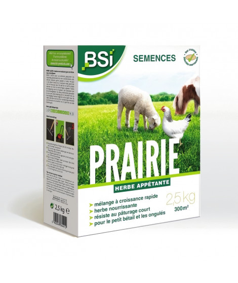 BSI - Semences de Gazon - Prairie - Haute qualité - Grande Surface - Jusqu'a 375m² - 7,5Kg