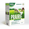 BSI - Semences de Gazon - Prairie - Haute qualité - Grande Surface - Jusqu'a 375m² - 7,5Kg