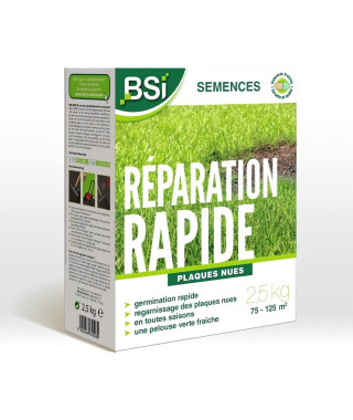 BSI - Semences de Gazon - Réparation Rapide - Avec Enrobage Protecteur - Haute qualité - jusqu'a 125m² - 2,5Kg