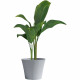 Pot de fleurs - GARDEN ID - Green Care Sense Pierre bleue - 50 x 41 cm - Garantie de 10 ans - 100% recyclé - Résistance UV et…
