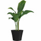 Pot de fleurs - GARDEN ID - Green Care Sense Noir-Anthracite - 50 x 41 cm - Garantie de 10 ans - 100% recyclé - Résistance UV…