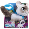 Jouet interactif - FURREAL FRIENDS - Chaton Grand Marcheur 23 cm - Animal interactif avec laisse