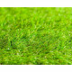 BEAU RIVAGE Gazon synthétique artificiel 30 mm - 1 x 3 M
