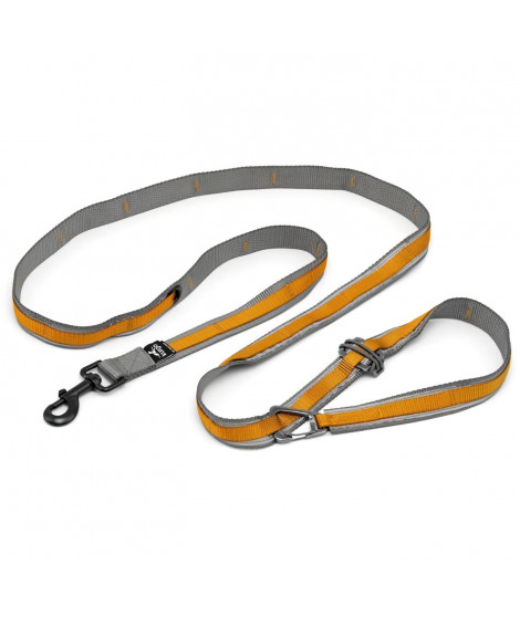 Laisse mains libres - KURGO - QUANTUM - 6 positions - 120 a 180 cm - Orange