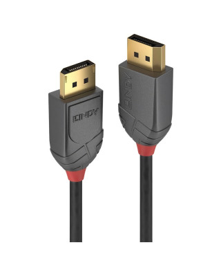 LINDY Câble DisplayPort 1.2 - Anthra Line - 3m