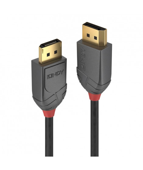 LINDY Câble DisplayPort 1.2 - Anthra Line - 3m