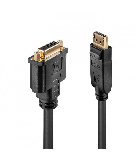 LINDY Câble adaptateur DisplayPort vers DVI