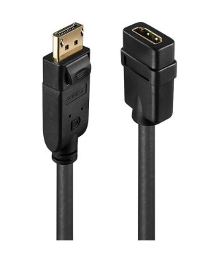 LINDY Convertisseur Passif DisplayPort vers HDMI
