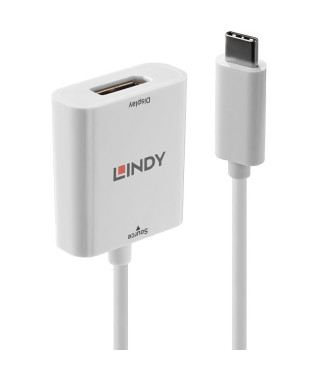LINDY Convertisseur USB 3.1 type C vers DP