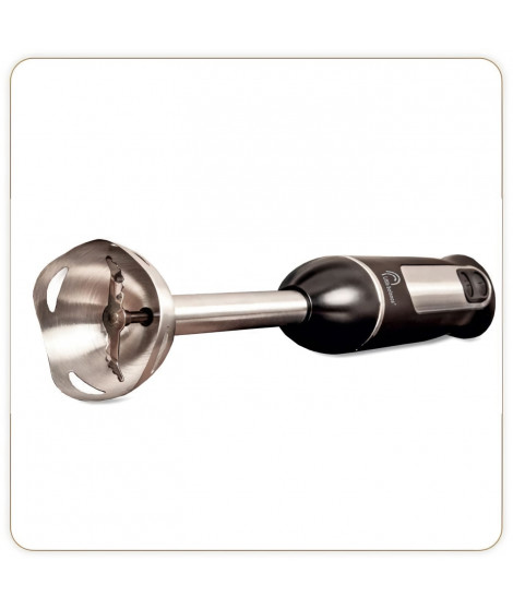 Mixeur plongeant Speed Inox 600 Plus