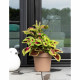 Pot a réserve d'eau - GARDEN ID Glamour - Taupe 40 cm - Surface granuleuse - Intérieur/extérieur - Design épuré - Contient du…