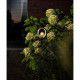 Lanterne solaire - GARDEN ID Lagune - Ø16 h80 cm - Autonomie 6-8h - Bouton on/off - Pile AAA rechargeable.