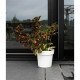 Pot a réserve d'eau - GARDEN ID Glamour - Blanc 40 cm - Surface granuleuse - Intérieur/extérieur - Design épuré.