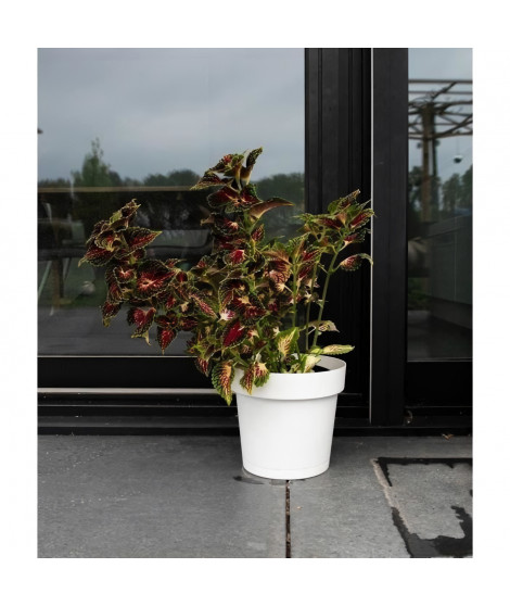 Pot a réserve d'eau - GARDEN ID Glamour - Blanc 40 cm - Surface granuleuse - Intérieur/extérieur - Design épuré.
