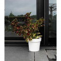 Pot a réserve d'eau - GARDEN ID Glamour - Blanc 40 cm - Surface granuleuse - Intérieur/extérieur - Design épuré.