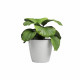 Pot - ARTEVASI - SAN REMO - 30 br - Blanc