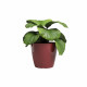 Pot - ARTEVASI - SAN REMO - 42 br - Rouge doncé